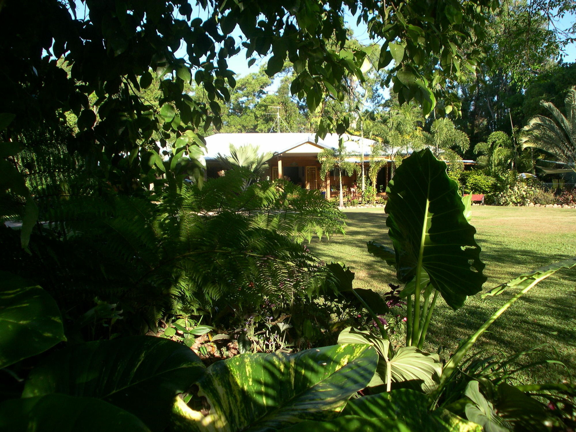 Hibiscus Lodge Bed & Breakfast Wongaling Beach 外观 照片